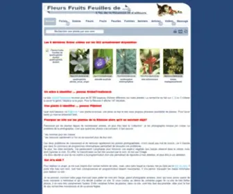 Fleurs-Fruits-Feuilles-DE.com(Espèc) Screenshot