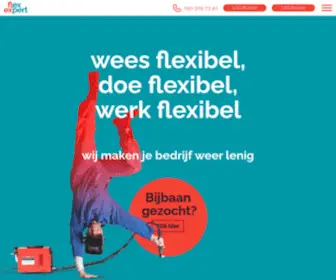 Flexexpert.nl(FlexExpert Home) Screenshot