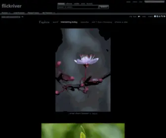 Flickriver.com(Photos) Screenshot