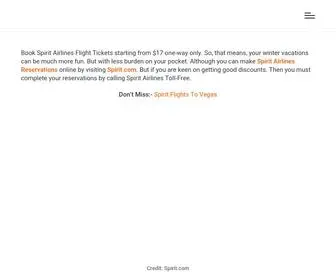 Flightsinsights.com(Book Spirit Airlines Flight Tickets As Low As $17) Screenshot