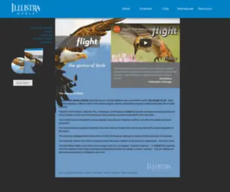 Flightthegeniusofbirds.com(Illustra Media) Screenshot