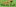 Flipthefield.com Favicon