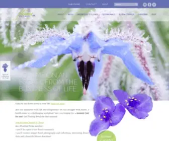 Floatingpetals.com(Floating Petals Flower Photography Floral Community Blog Flower Facts) Screenshot