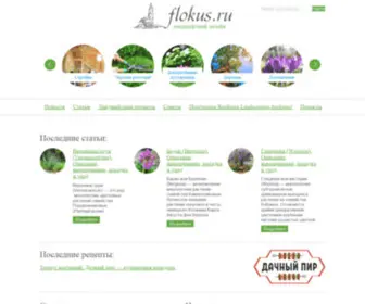Flokus.ru(Флокус) Screenshot