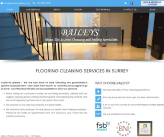 Floor-Cleaning-Surrey.co.uk(Stone, Tile and Grount Cleaning and Sealing Specialists) Screenshot