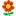 Floral-Market.ru Favicon