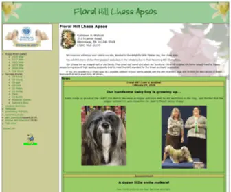 Floralhill-Lhasaapsos.info(Floral Hill Lhasa Apsos) Screenshot