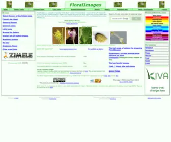 Floralimages.co.uk(FloralImages) Screenshot