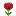 Floralparadise.ru Favicon