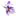 Florasaffron.com Favicon