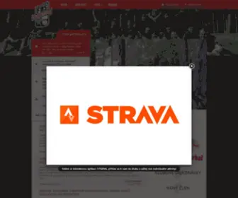 Florbalslaviaplzen.cz(Slavia VŠ Plzeň) Screenshot