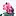 Flordemonterey.com Favicon