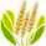 FlorecerGlobalservice.com Favicon