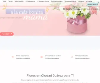 Floreriafiorela.mx(Inicio) Screenshot