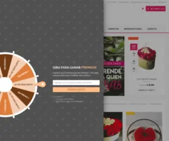 Floreriaparis.cl(Delicados Arreglos Florales a domicilio) Screenshot