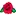 Floreriarosaflor.com Favicon