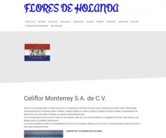 Floresdeholanda.com.mx(Celiflor Monterrey S.A) Screenshot