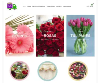 Floresdemayoreo.com(Flores de Mayoreo) Screenshot