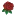 Floreselolivar.es Favicon