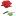 Floresjardim.com Favicon