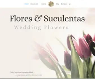 Floresysuculentas.es(Flores y Suculentas) Screenshot