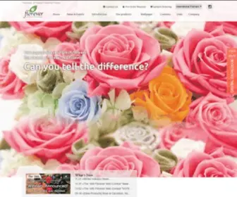 Florever.com(Preserved Flowers) Screenshot