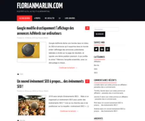 Florianmarlin.com(Blog) Screenshot
