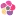 Floricudrag.ro Favicon