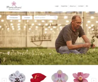 Floricultura.com(Floricultura) Screenshot