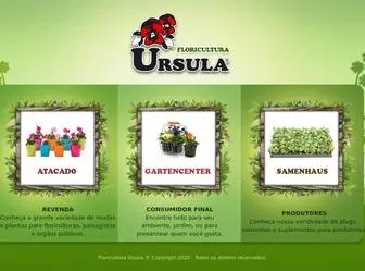 Floriculturaursula.com.br(Floricultura Úrsula) Screenshot