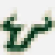 Floridabhcenter.org Favicon