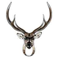 Floridahuntingpreserves.com Favicon