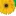 Floristeneinkauf.de Favicon