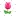 Floristeriacollette.com Favicon