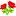 Floristeriahuila.com Favicon