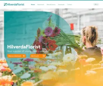 Floristholland.com(HilverdaFlorist HilverdaFlorist) Screenshot