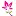 Floristindia.in Favicon