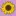 Floristsacrossamerica.com Favicon