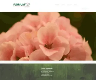 Floriumsb.com(Askılı) Screenshot