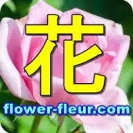 Flower-Fleur.com Favicon