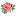 Flower24Hours.com Favicon