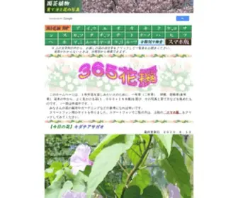 Flower365.jp(Flower 365) Screenshot