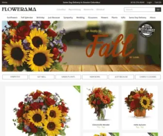 Floweramacolumbus.com(Flowers Columbus Ohio..Flowerama Columbus..Columbus Florist..Same Day Flower Delivery) Screenshot