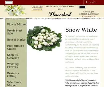 Flowerbud.com(Next Day Flower Delivery) Screenshot
