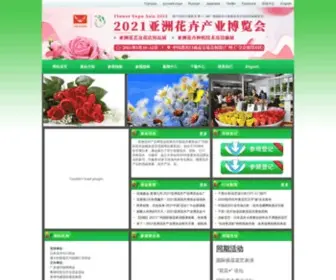 Flowerexpochina.com(2021亚洲花卉产业博览会) Screenshot