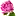 Flowergarden.pro Favicon