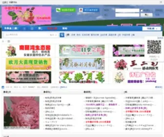 Flowerorder.net(花卉邮购) Screenshot