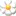 Flowers.co.za Favicon