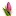 Flowersaffairs.com Favicon