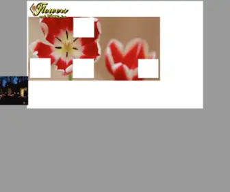 Flowersandmore.biz(Flowersandmore) Screenshot